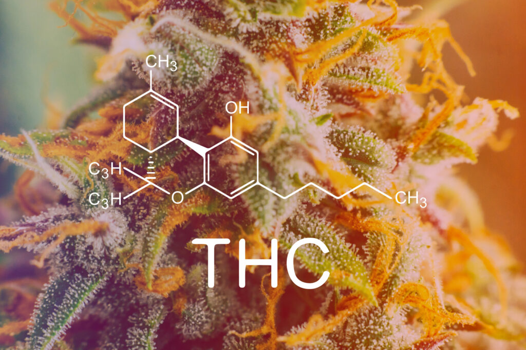 Where Can I Buy THC-X Products