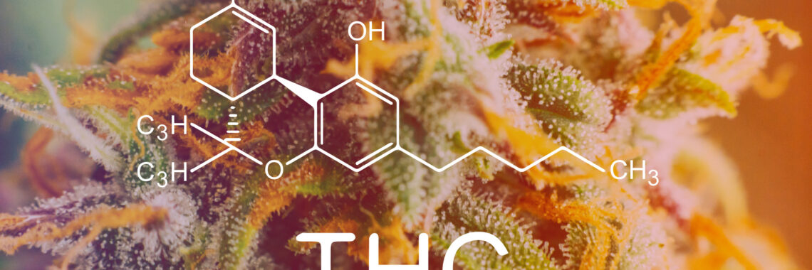 Where Can I Buy THC-X Products